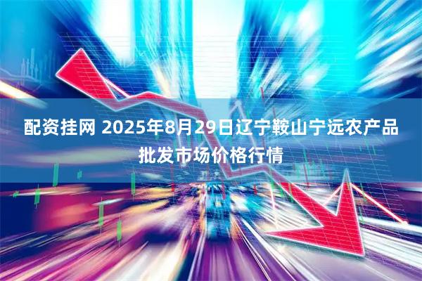 配资挂网 2025年8月29日辽宁鞍山宁远农产品批发市场价格行情
